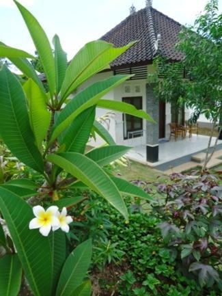 Bingin Family Bungalow ウルワツ エクステリア 写真